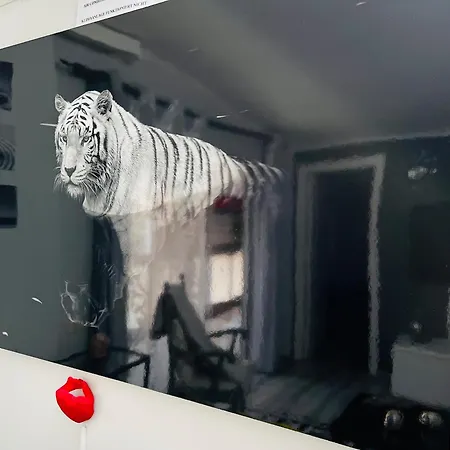 Laurent Lejlighed Santa Cruz de Tenerife