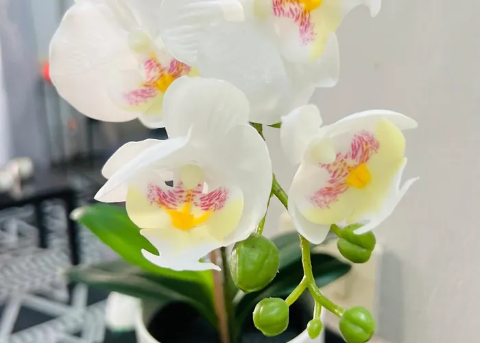 Appartamento Laurent *